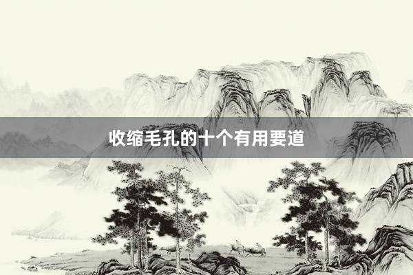 收缩毛孔的十个有用要道